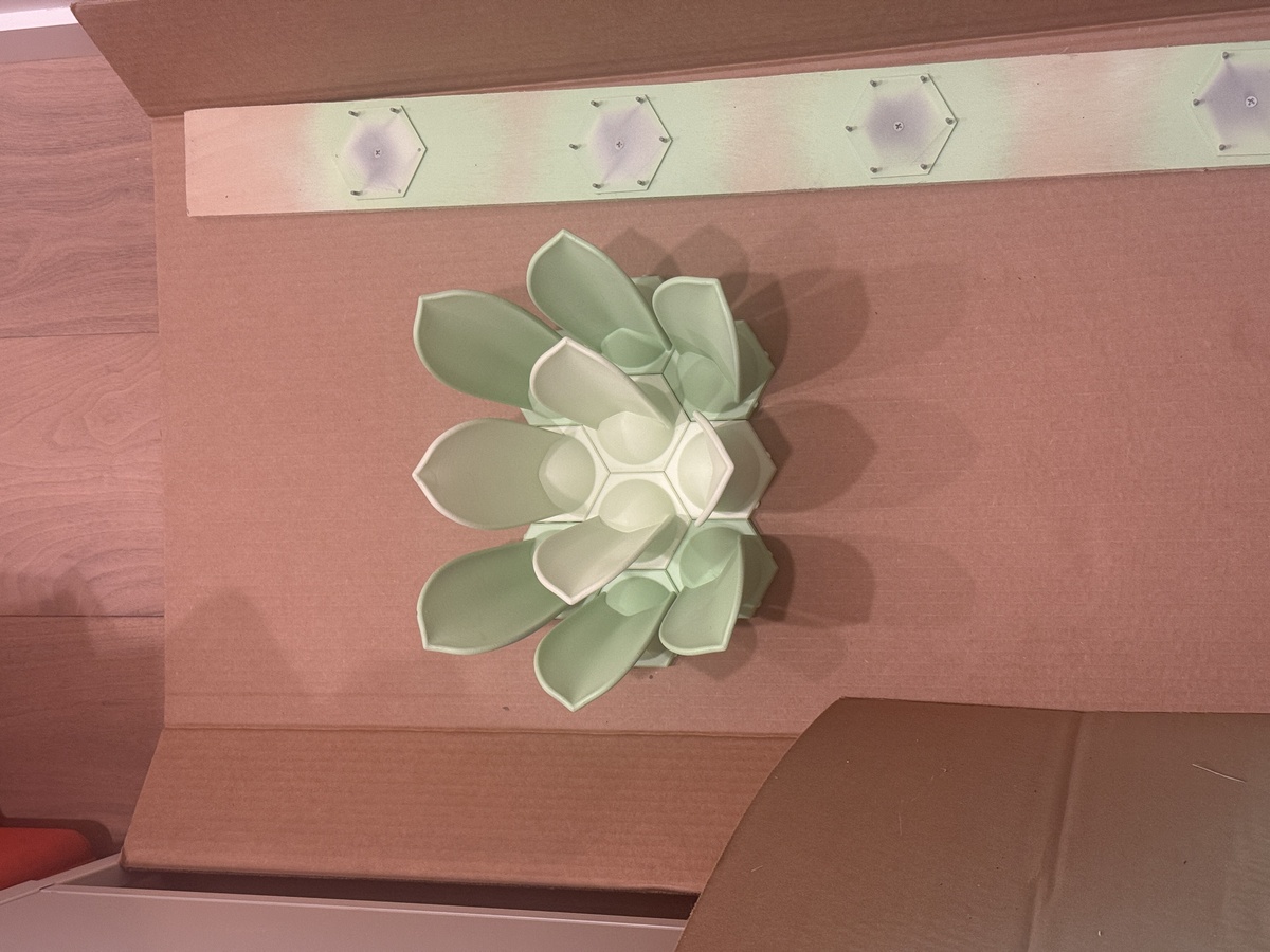Succulent 3D Wall Art detail